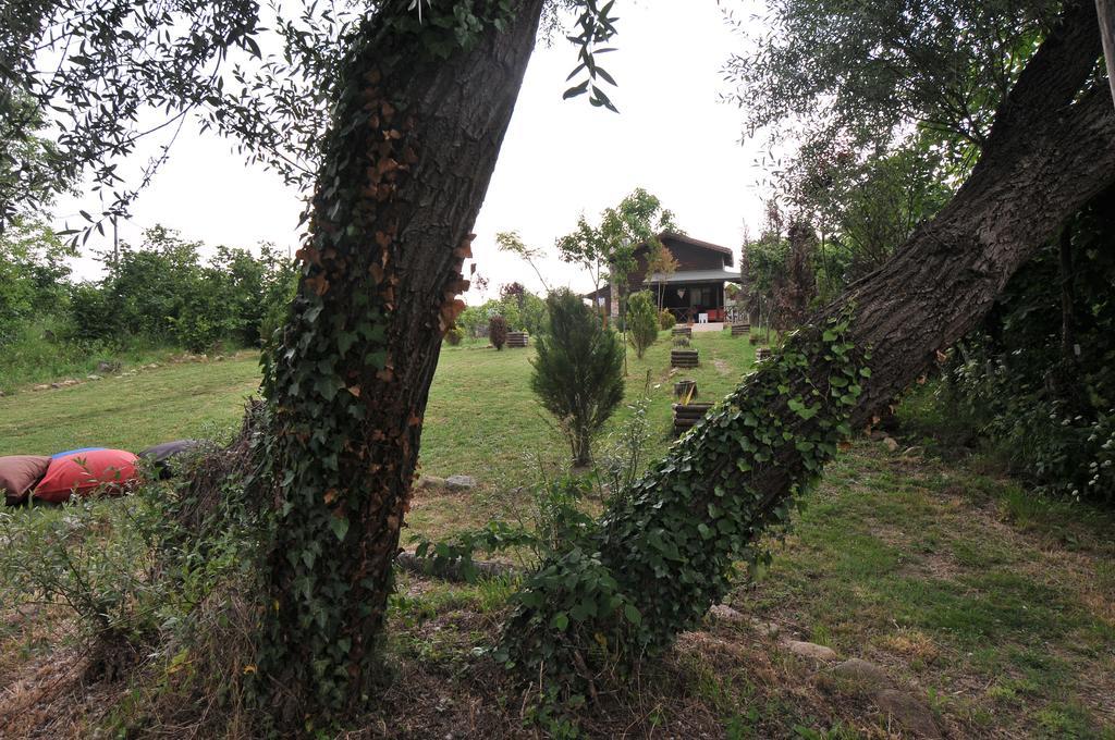 Agva Nehir Perisi Hotel Goce Habitación foto